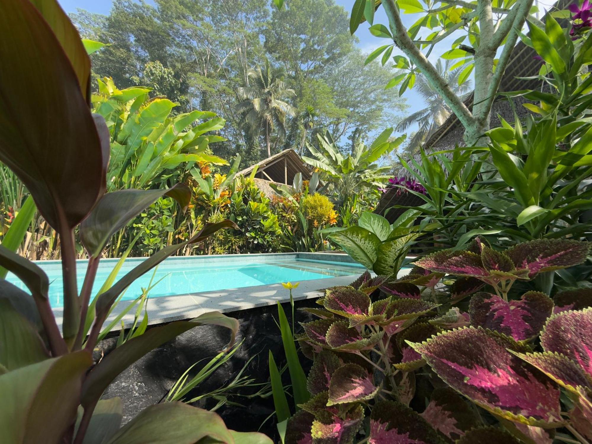 Rnv Eco Resort Bungalows Batukaras Luaran gambar