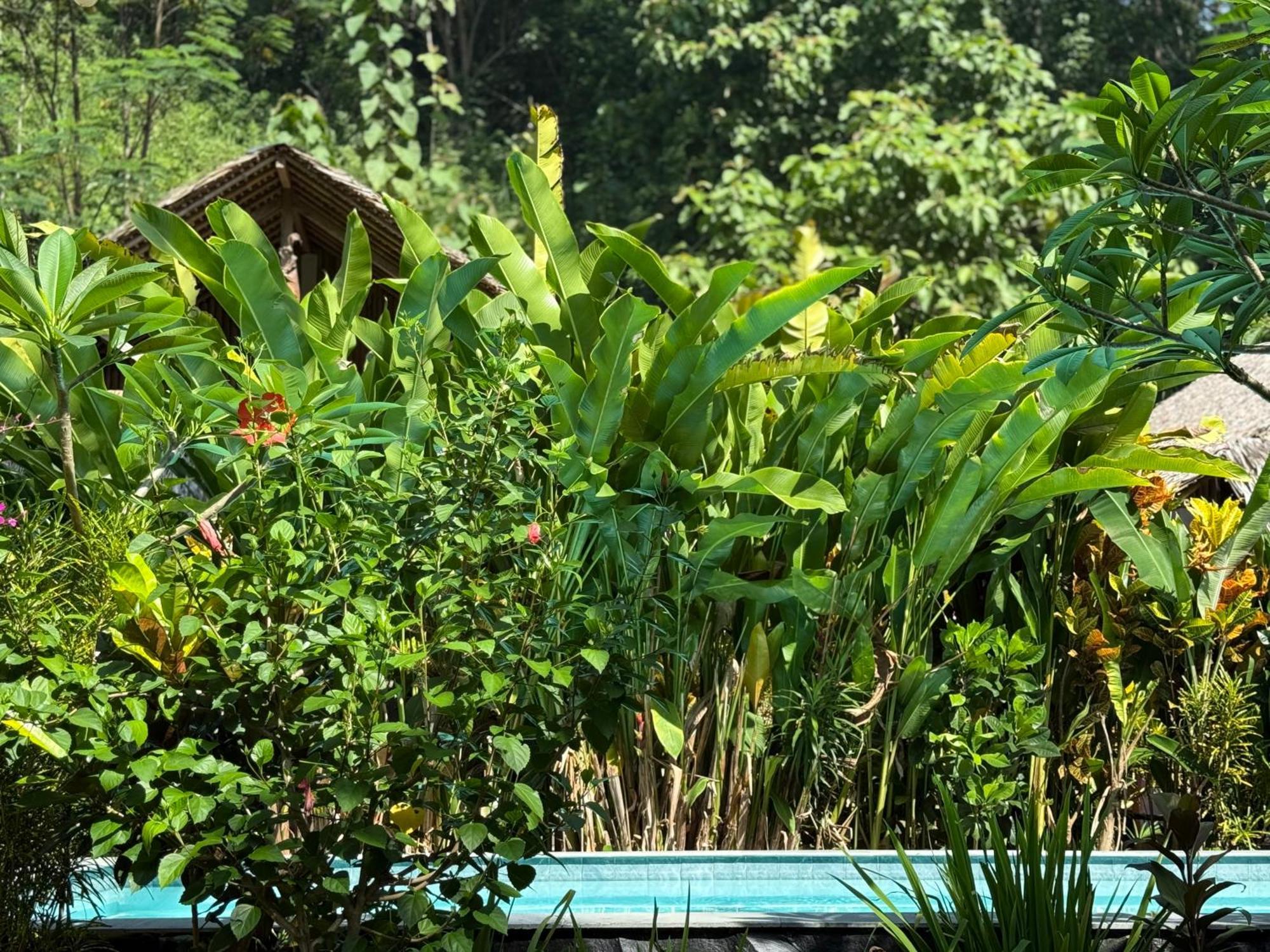 Rnv Eco Resort Bungalows Batukaras Luaran gambar