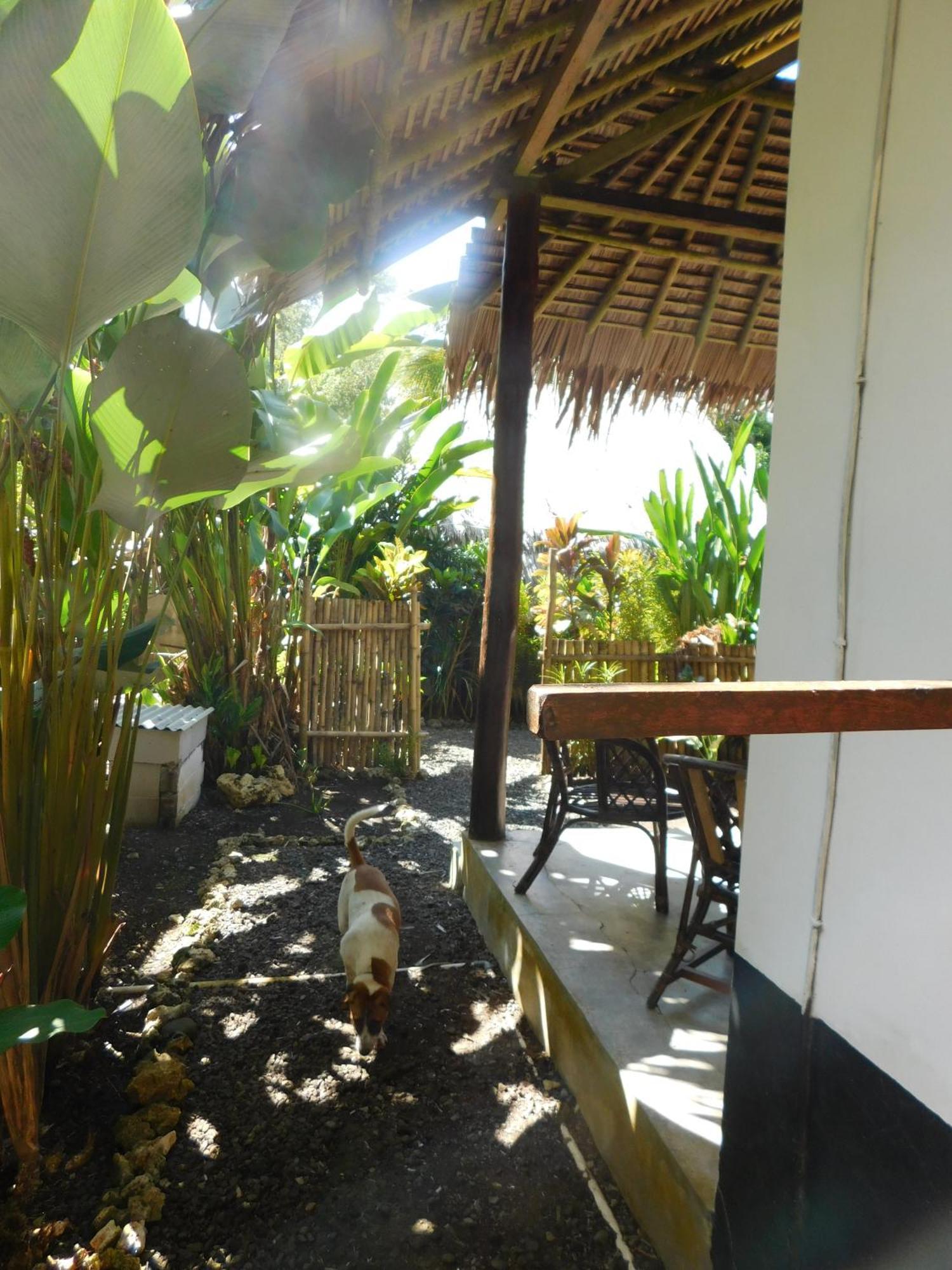 Rnv Eco Resort Bungalows Batukaras Luaran gambar